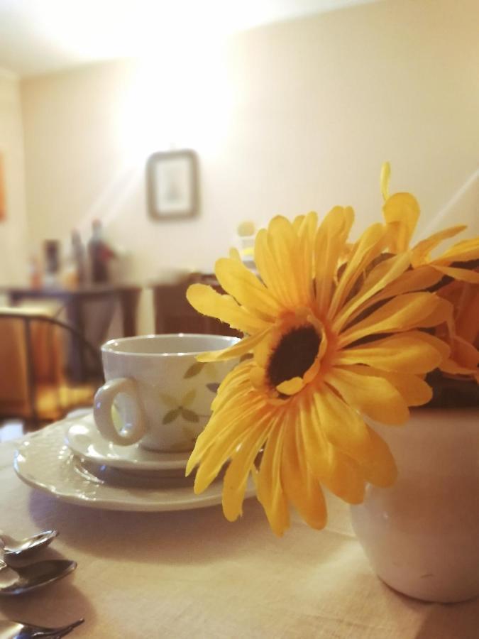 Terre Di Gratia Bed & Breakfast Camporeale Dış mekan fotoğraf