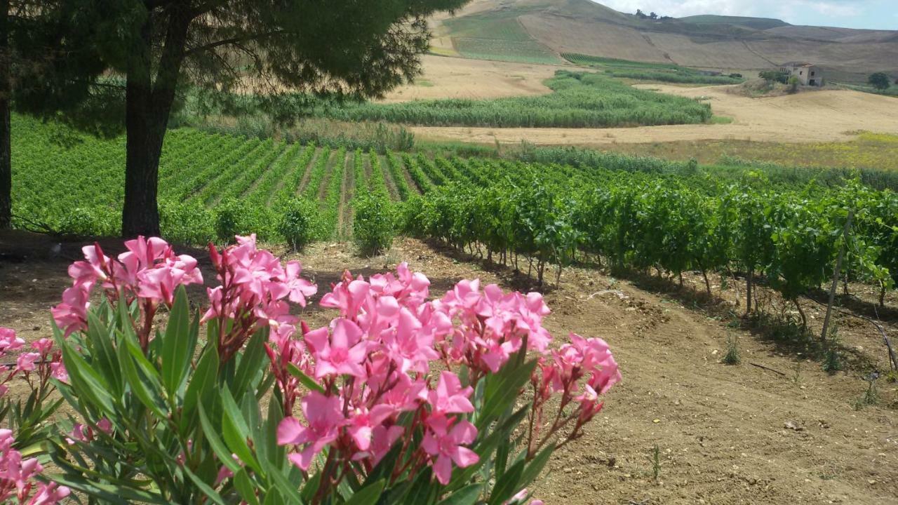 Terre Di Gratia Bed & Breakfast Camporeale Dış mekan fotoğraf
